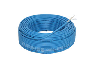 TXLP/1R�Ό��l����|